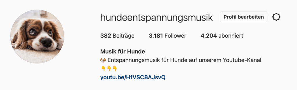 Instagram Hundeentspannung