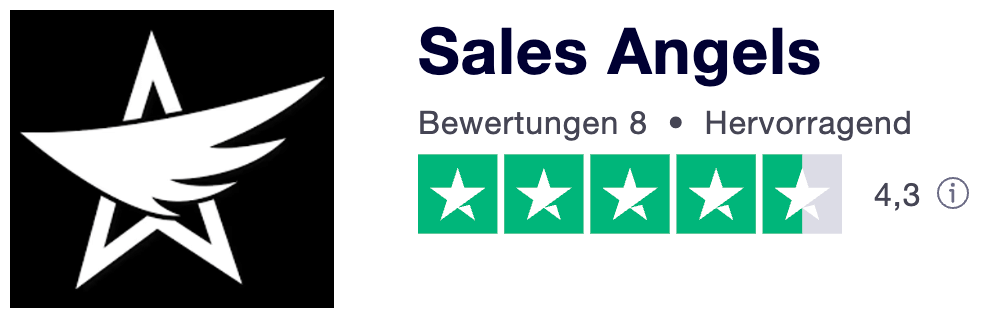 Sales Angels Online Kurs